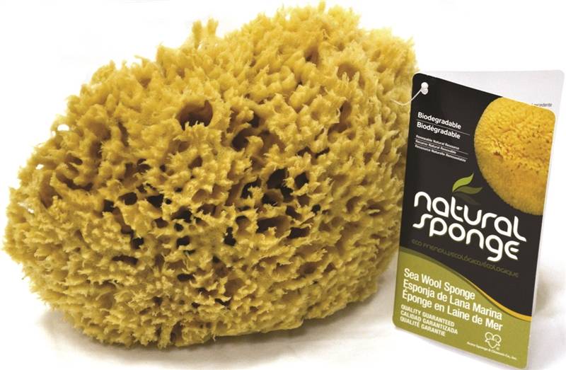 6 GRASS SEA SPONGE BEIGE "