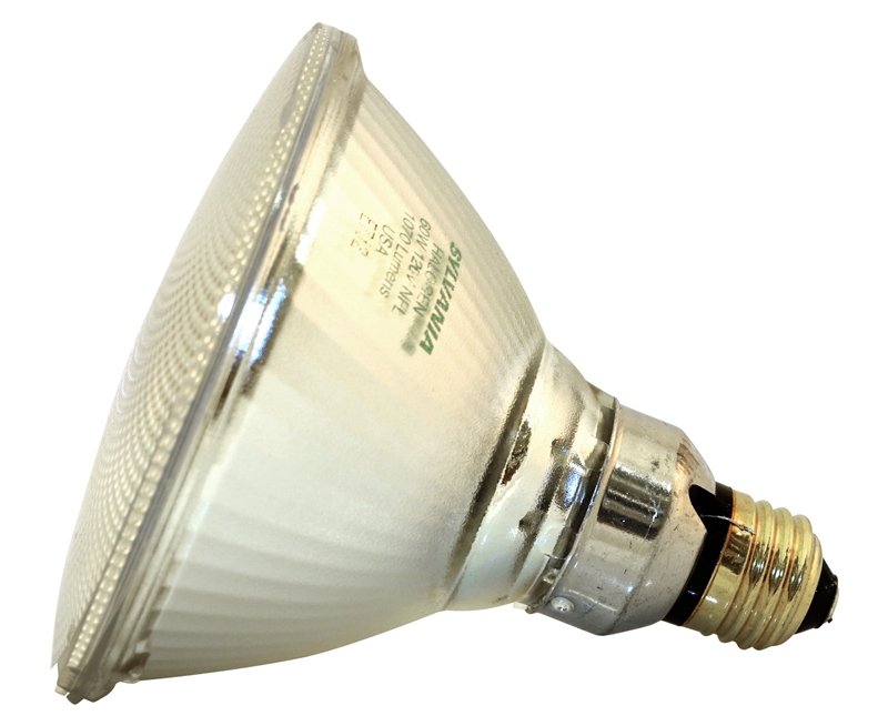 FLOODLIGHT HAL PAR38 MED 60W