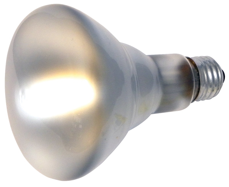 BULB REFLEC 65W FLOOD 1/BX