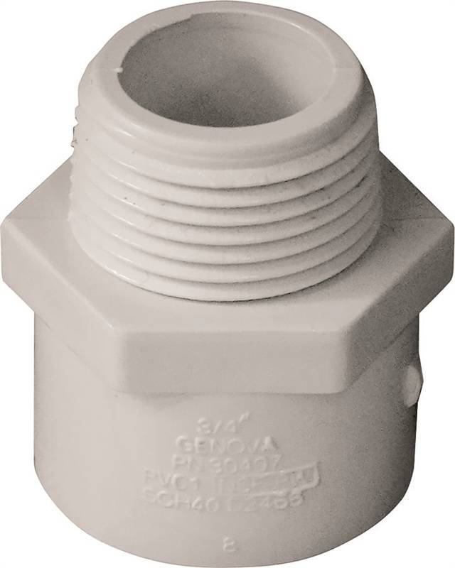 GENOVA 3/4 SLIPXMIP ADAPTER MA "