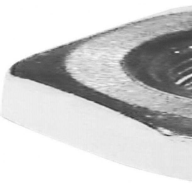 1/4-20 SS HEX NUT 7MA