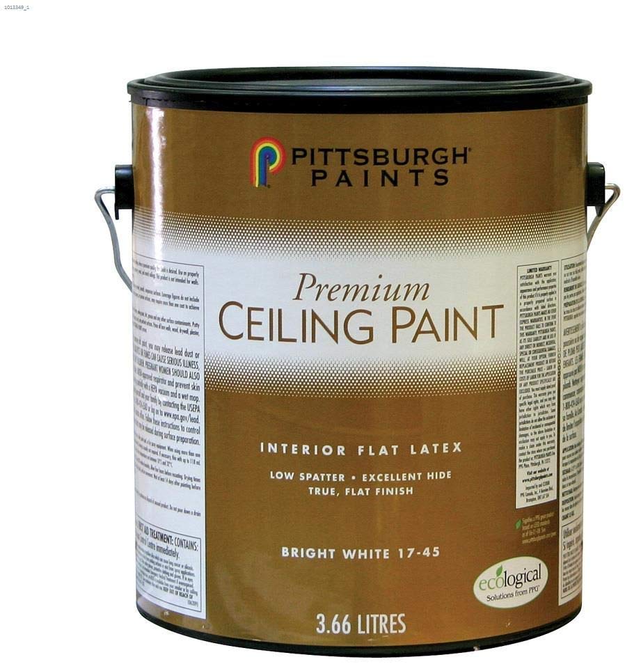 PREMIUM CEILING PAINT WHITE GAL