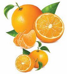 ELGENE'S SOLVE ALL #1,CITRUS BA