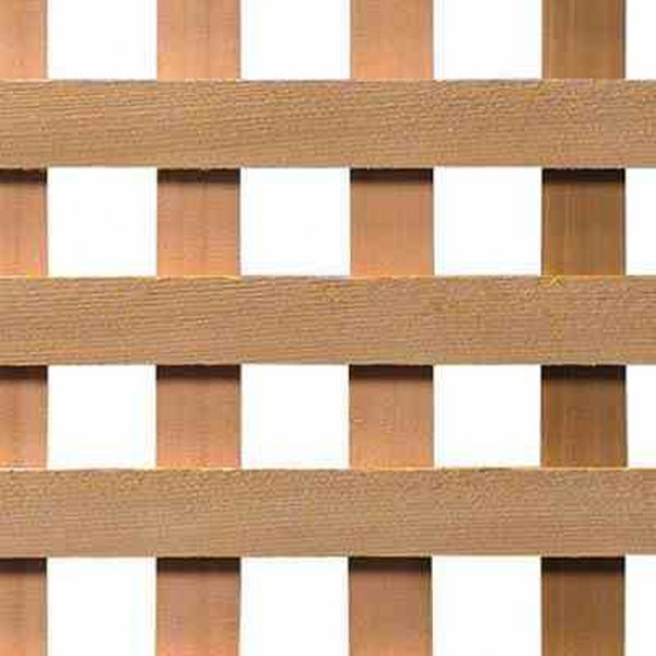 4X8 HD CLR SQ CED PRIV LATTICE CEDAR LATTICE  W8101156